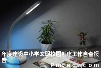 年度建设中小学文明校园创建工作自查报告