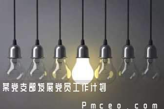 某党支部发展党员工作计划